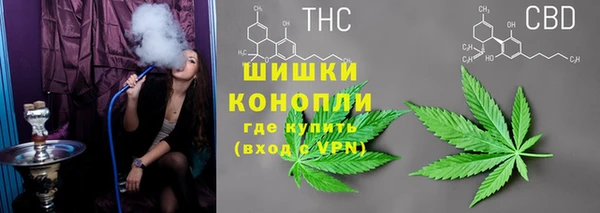 молекула духа Осинники