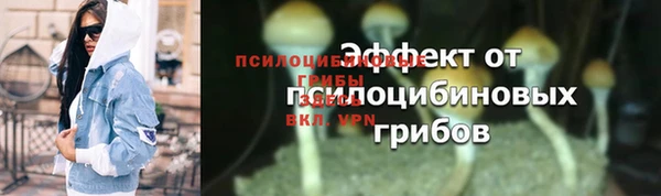 прущая мука Осташков