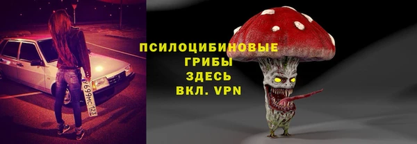 прущая мука Осташков