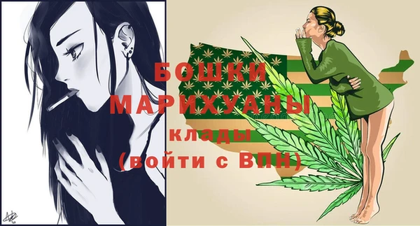 молекула духа Осинники