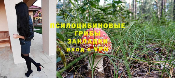 прущая мука Осташков
