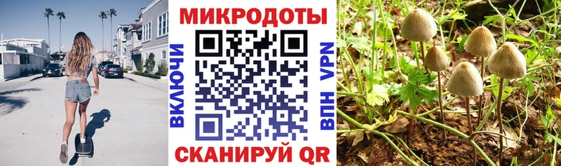 Псилоцибиновые грибы мицелий  Полярный 